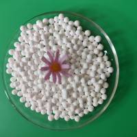 白色活性氧化铝除氟剂 2-3mm常规氧化铝球现货