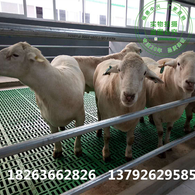 微信图片_20180719110113