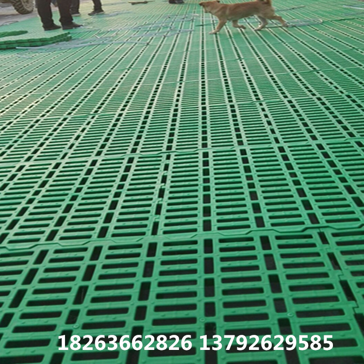 QQ图片20171104082422