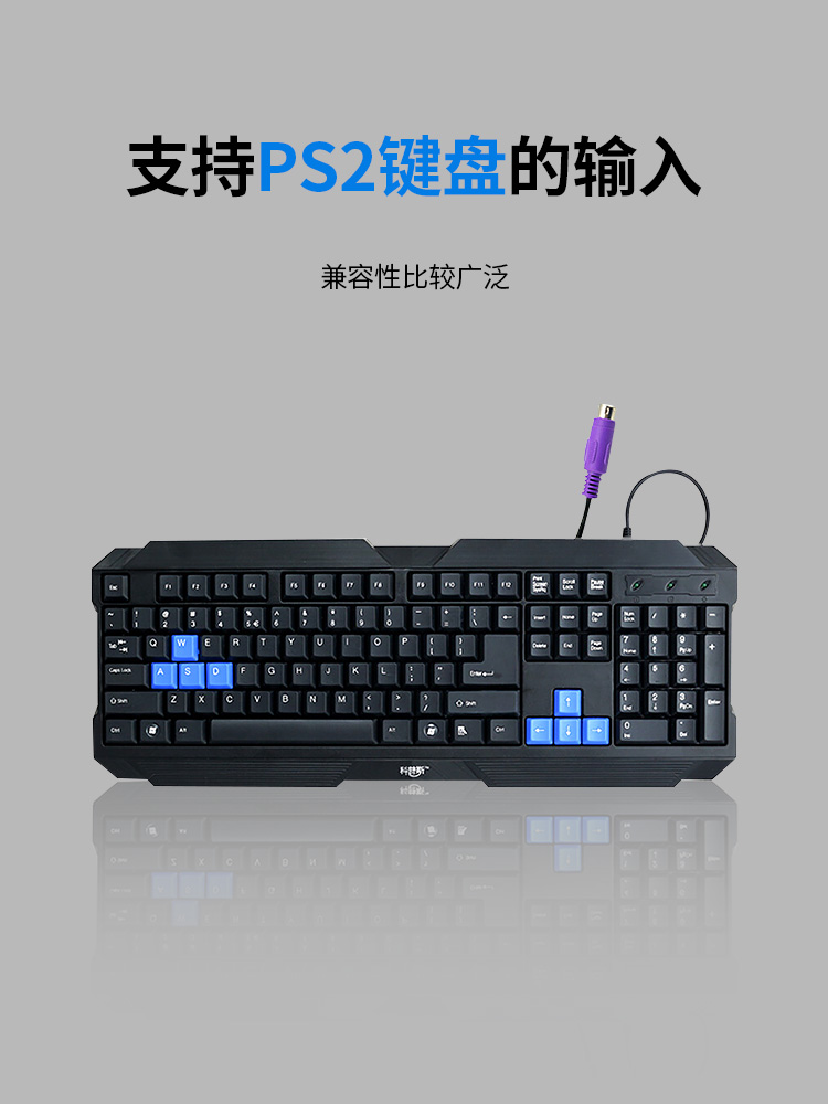 O1CN01XQP2Sy2J4apCJIRI1_!!2621379368