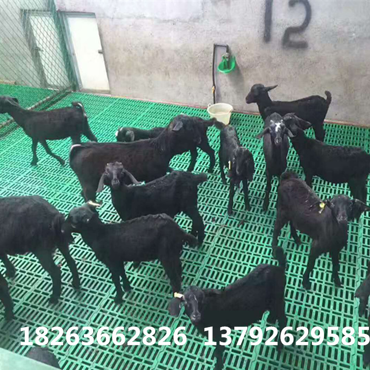 微信图片_20170614134406