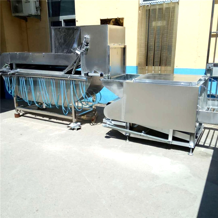 295302630617678627_看图王