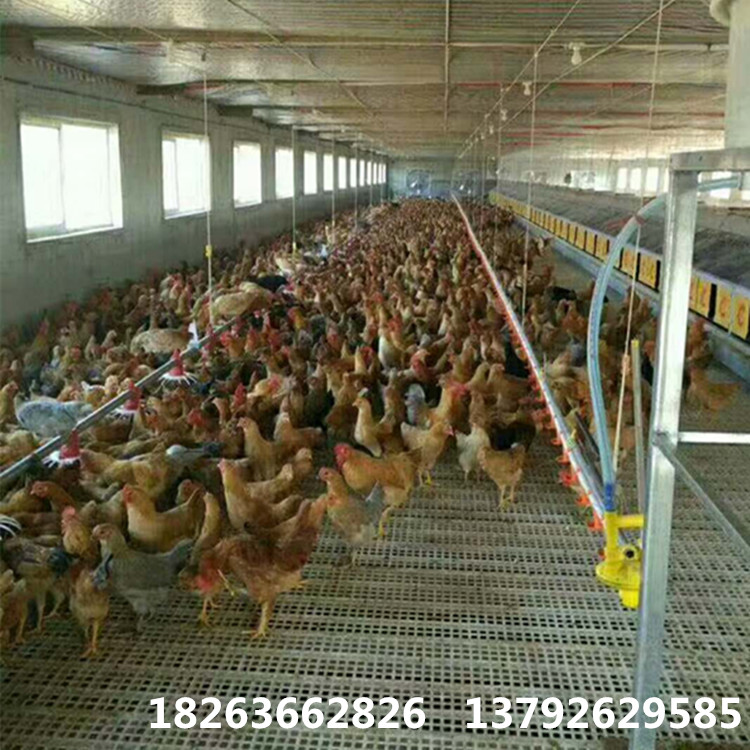 微信图片_20180518081014