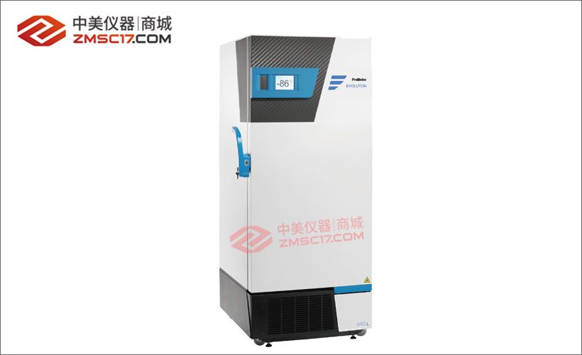 实拍图模版g