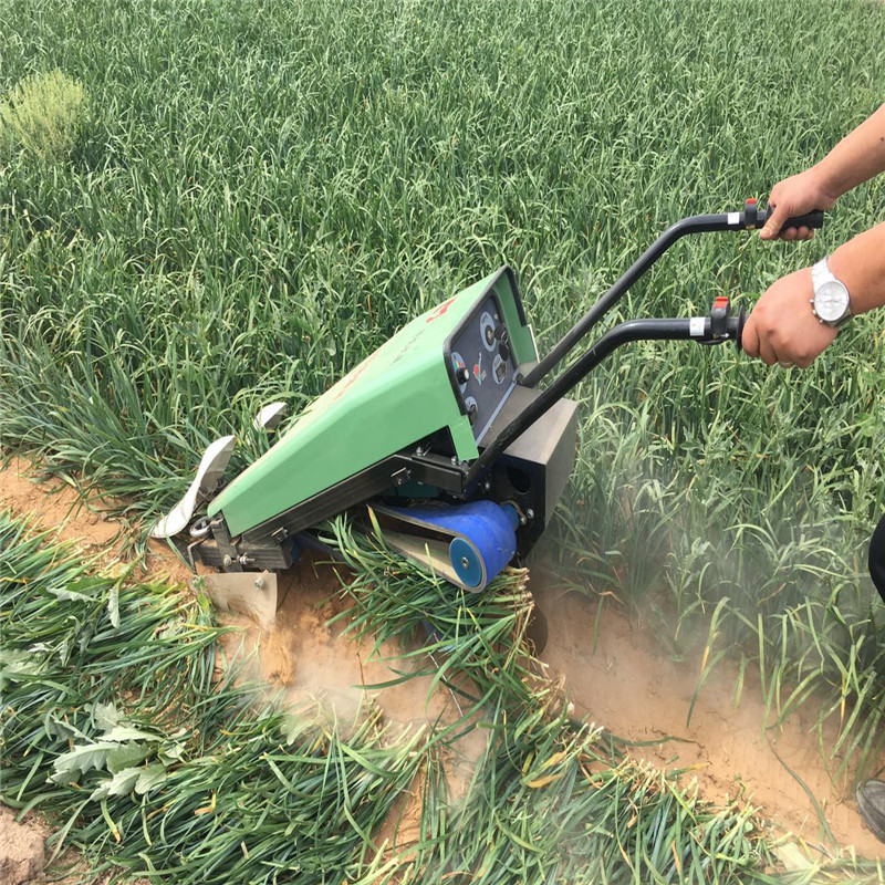 微信图片_20170605175006