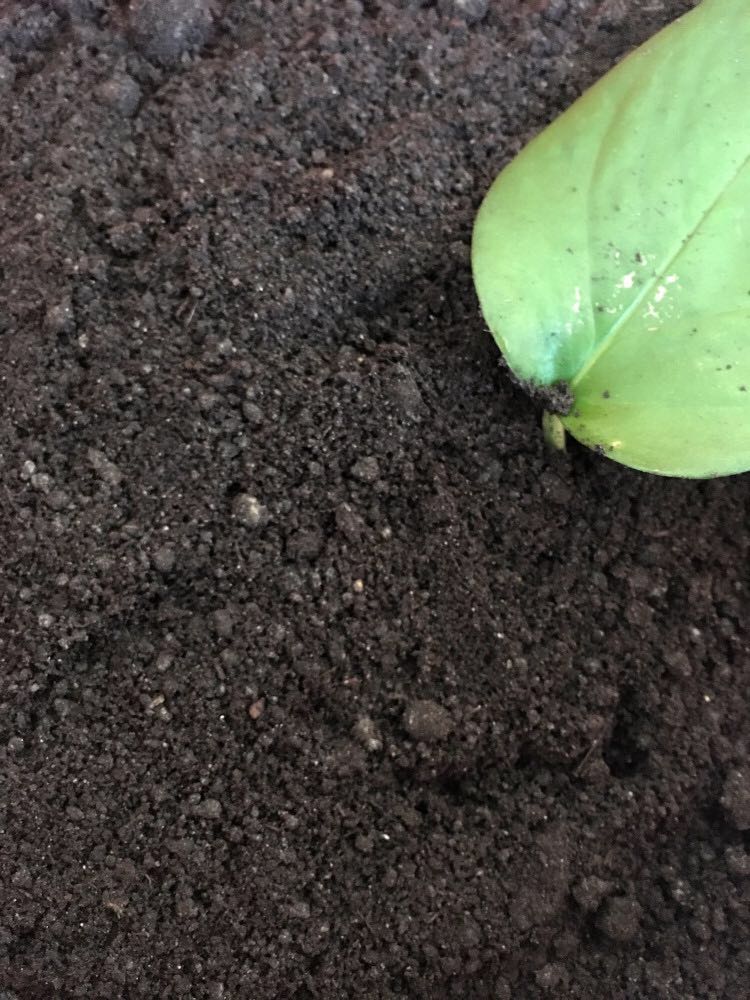 复件 390639650656442605