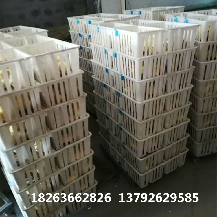 微信图片_20180518081008