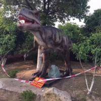 恐龙模型租赁恐龙模型出租仿真恐龙模型16650007999