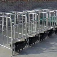 养殖设备自动化养猪母猪限位栏