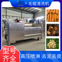 荸荠毛辊清洗机 中药材去泥清洗设备 土豆去皮清洗机