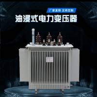 上海三相油浸式电力变压器厂价直销