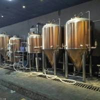 啤酒屋小型精酿啤酒设备 1000升啤酒设备价格 啤酒设备厂家