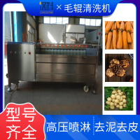 南瓜毛辊清洗机 海产品去泥沙清洗设备 莲藕去皮清洗机