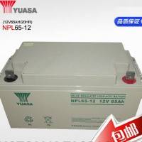 汤浅蓄电池NPL100-12免维护12V110AH电瓶促销