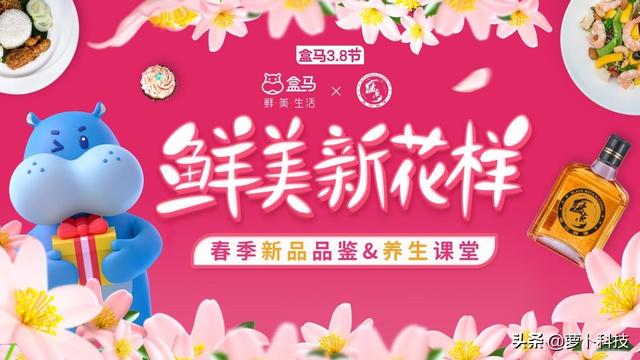 盒马联合猛点酒开设养生专题论坛，携手响应大健康市场