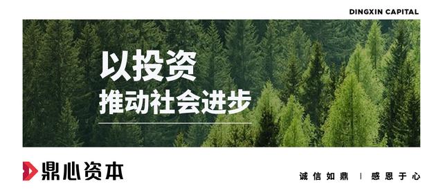 2022上半年记：岂是躺平时，鼎心继续进击