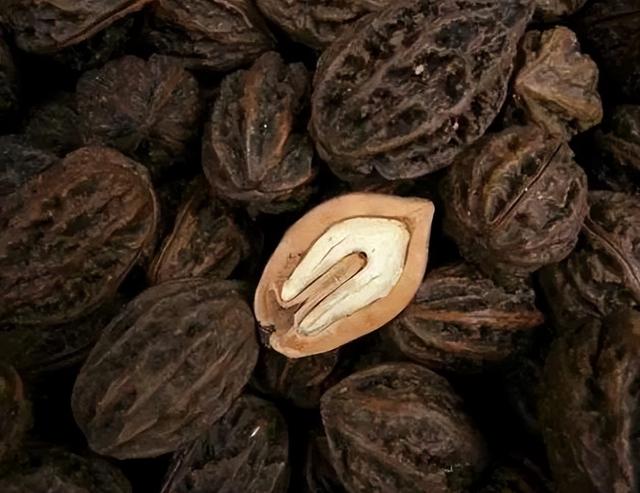 标准牙齿咬合图片_在动物世界里人的咬合力属于什么级别的？（动物界谁的咬合力最大）