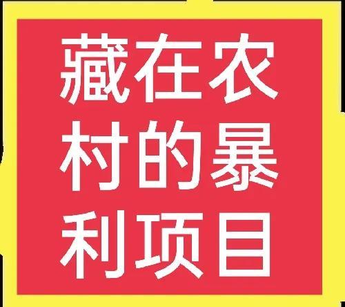 200个农村创业项目(11):藏在农村的高利润项目大分享（创业商机好项目农村）