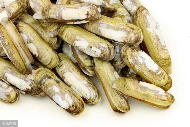 蛏子鲜爽口感细腻，但却不能与它同食？（蛏子不能与什么同食）