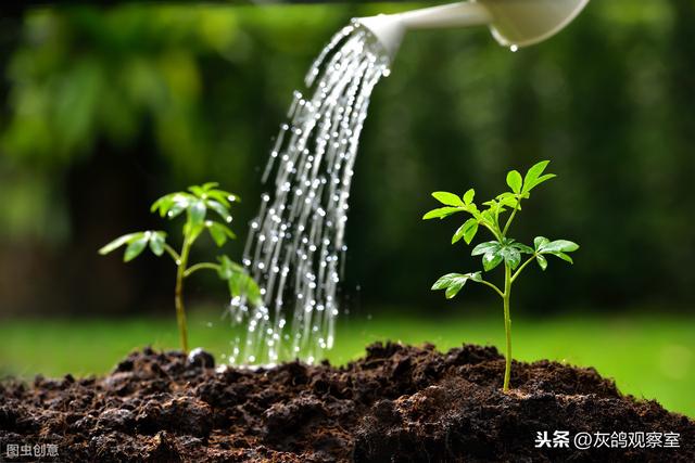 温州“鞋王”迎来第二春，卖鞋亏了3000万，卖药却赚了40亿（中国温州鞋王）
