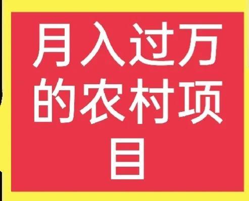 农村穷人做什么项目能月入过万元？（农村月入过万好项目）