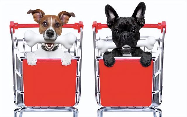 Petco 正在追赶 Petsmart | 美国宠业零售情报（petco宠物公司）