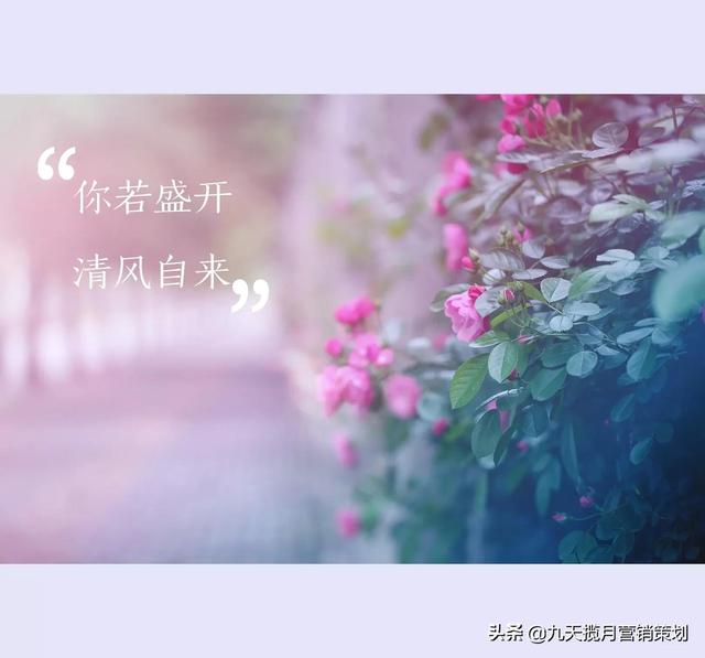 营销复盘Day28：细数近十年医疗行业常使用的4种营销活动