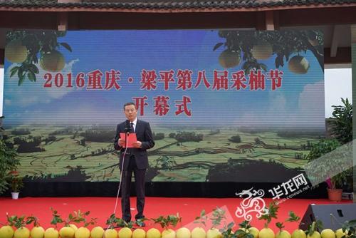 梁平柚_梁平采柚节开幕啦 元旦节前都可以去摘柚子（2020年梁平采柚节）