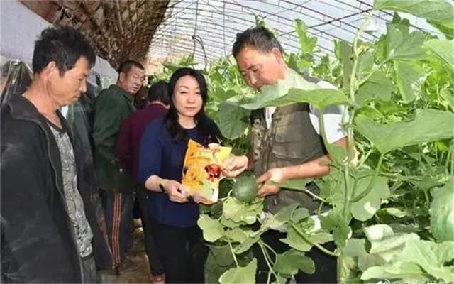 当前，普通人想创业，选择什么项目钱好赚、投资小、风险低？（什么样的小投资项目容易赚钱）
