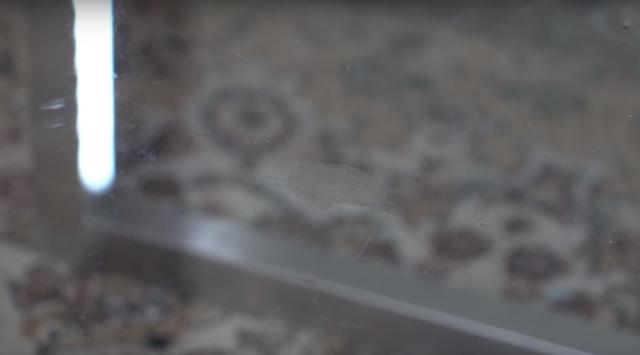 玻璃残留难以清洗的污渍，用调味料能代替玻璃清洁剂（玻璃清洗剂可以用什么代替）