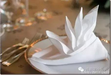 餐巾这样用就丢脸了（欧美国家就餐时,餐巾纸只能用来擦）