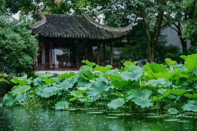 苏州夏季旅游有哪些值得去的地方？（夏季苏州哪里好玩的景点推荐）