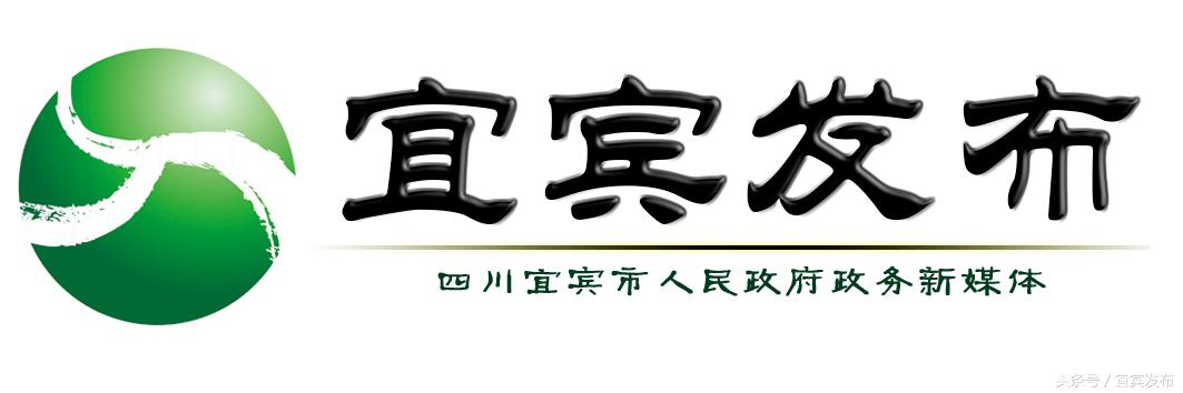四川宜宾:干部任前公示（宜宾市人民政府干部任前公示）