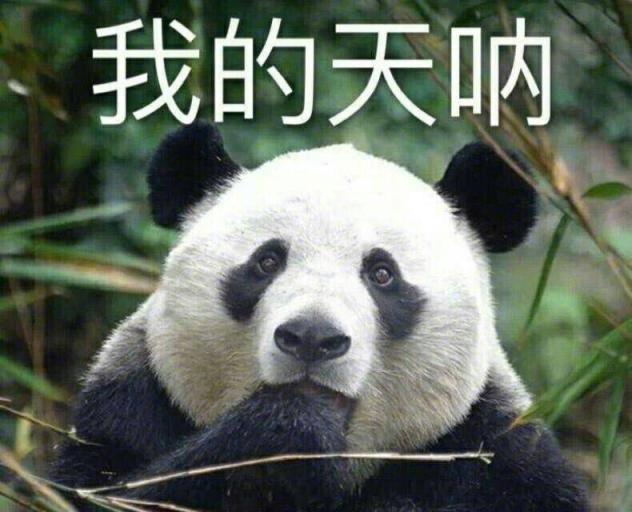 一键查询话费流量，爸爸妈妈再也不怕我失联了（一键查询话费流量,爸爸妈妈再也不怕我失联了怎么办）