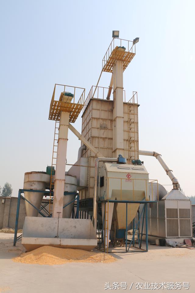 谷物烘干机_粮食烘干机使用了两三年，谈一谈利弊供大家参考，小麦玉米谷物（粮食烘干机效益）