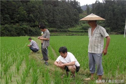 厌倦了打工？（想回农村创业不知道干什么好）