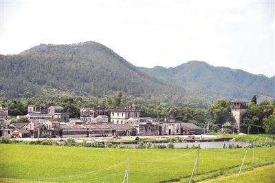 台山黄鳝湛江蚝 粤西美味食通天（台山湛江仔烧生蚝）
