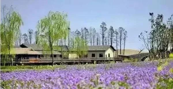 乌村｜此心安处是吾乡（吾心安处 便是吾乡）