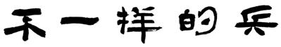 不一样的兵（不一样的兵马俑）
