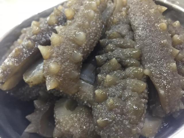 葱烧辽参做法（姜葱炒海参）