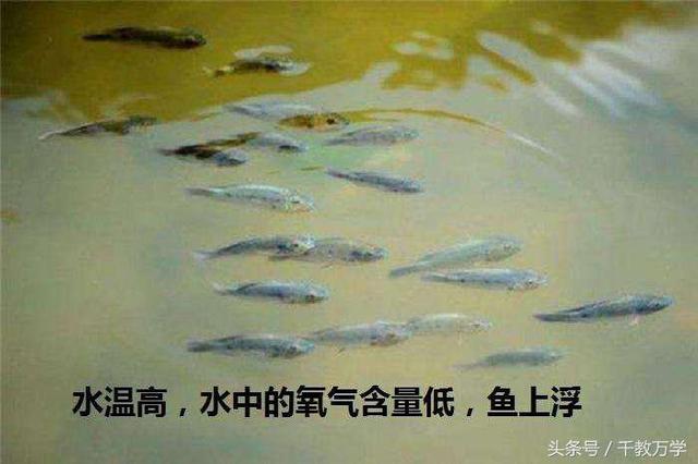 初三化学上册：氧气的物理与化学性质、用途与制取方法（初三化学氧气的制取知识点）