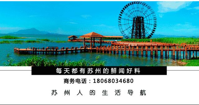 别找了（苏州年货去哪里买）