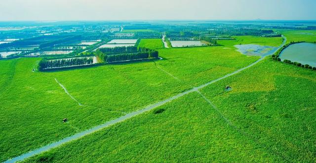 大美济宁 | 微山湖湿地（济宁微山湖景区）