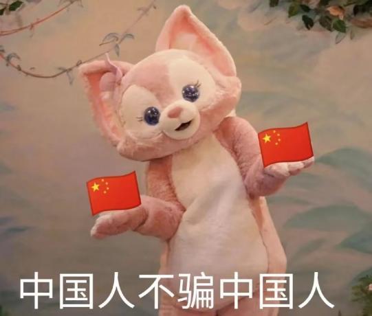 平价机中的战斗鸡