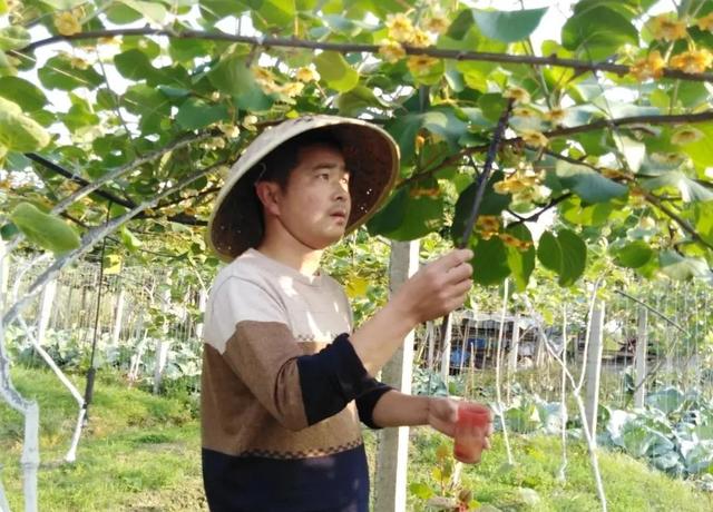 乡村振兴人才月 | 都江堰市张泽均：身残志坚勇创业 勤劳致富好榜样