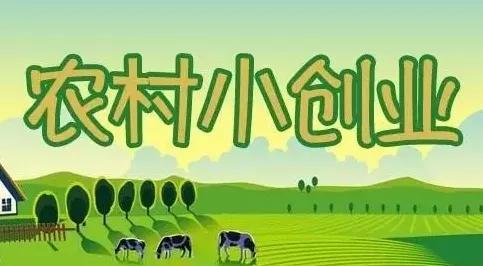 打工久了！心累了！压抑了！返乡创业的几个项目（返乡创业难）