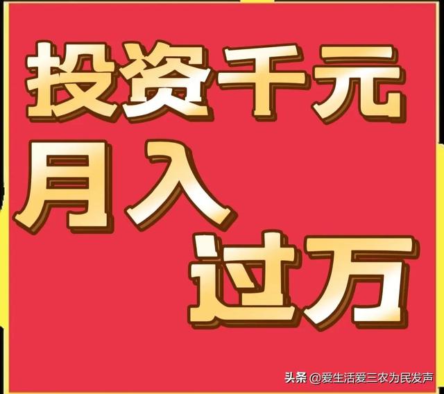 投资千元月收入过万，摆地摊真有这么高的利润吗？