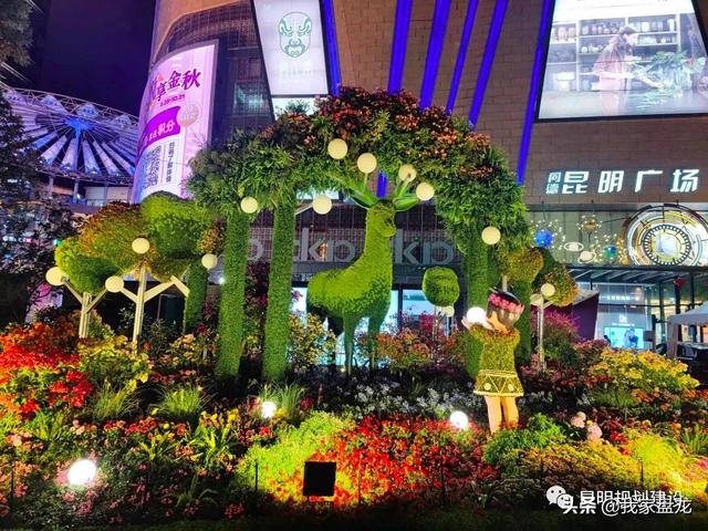 同德·昆明广场 多样“生态生活”为COP15增色（同德昆明广场平面图）