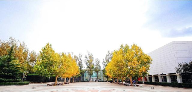 北京小升初热议：好学校竟如此“无耻”，一下把好学生都抢跑了（北京小升初贴吧）