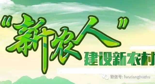 80、90后年轻人回农村能干什么？（年轻人回农村做什么好）